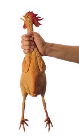 الصورة الرمزية دجاجه منتوفه
